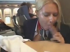 Stewardess Sucks Cock On Plane