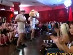 Dancing bear strips for ladies