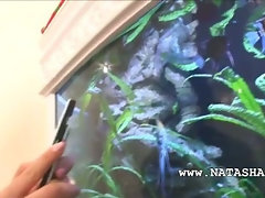 Natashas vagina rubbing on big aquarium