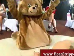 Tipsy partygirls wrestling with a bear